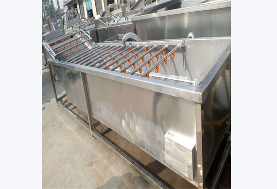 stainless steel date washing machine/palm date processing line/jujube washing machine