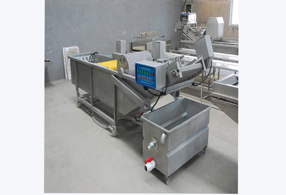 stainless steel date washing machine/palm date processing line/jujube washing machine