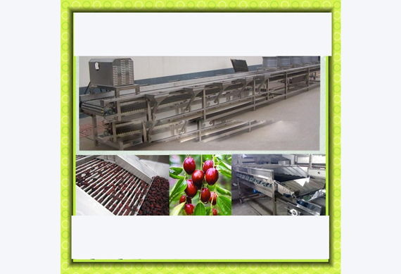 stainless steel date washing machine/palm date processing line/jujube washing machine