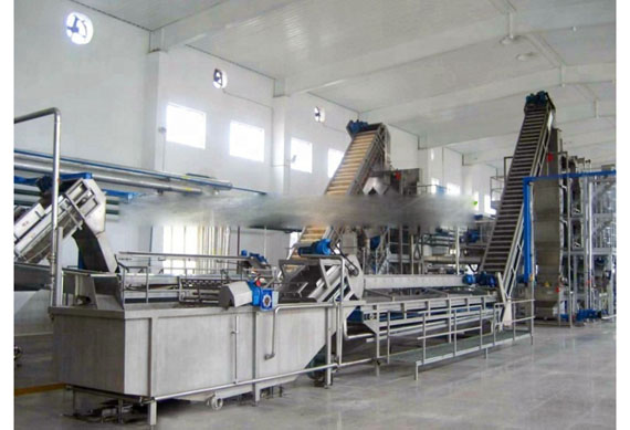 Tomato sauce production line/equipment