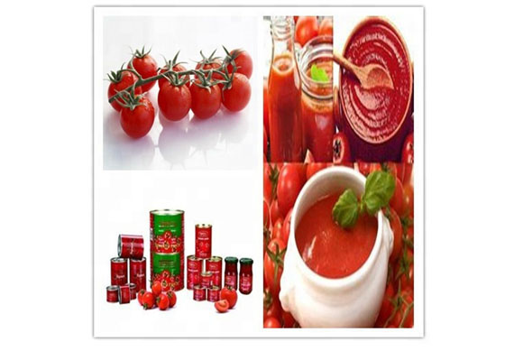 Tomato sauce production line/equipment