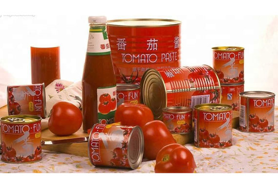 Tomato sauce production line/equipment