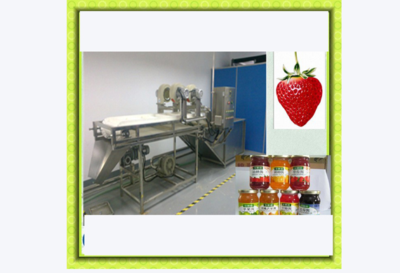 Small model fruit Paste /Jam production line /equipment for fruit&vegetable pre-process machine