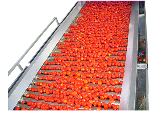 small scale industrial tomato sauce processing machine