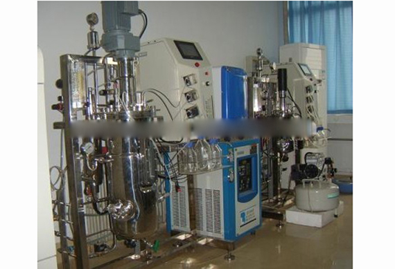 Multi-functional bio fermenter/Microbiological Fermenter with factory price