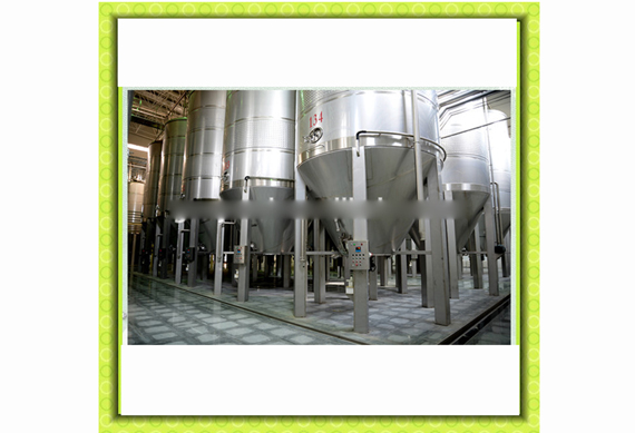 beverages fermentation equipment