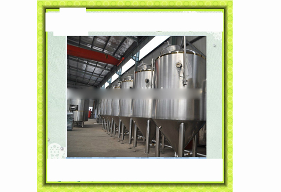 beverages fermentation equipment