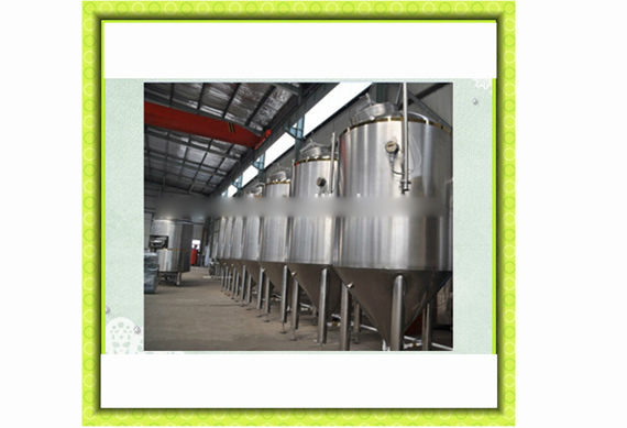 alcohol ethanol fermentation tank industry fermentater for sale