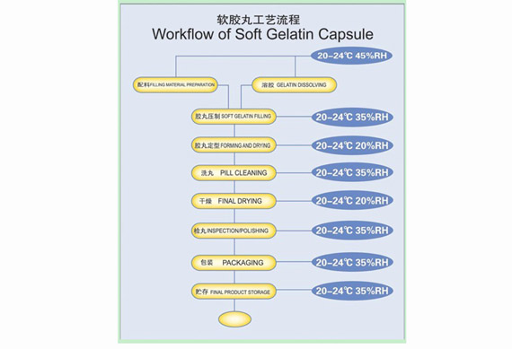 shanghai Fish Gelatin Shell softgel capsules encapsulation machine