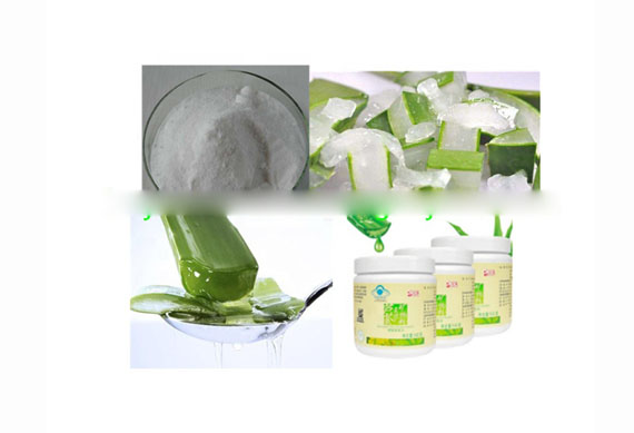 aloe vera washing machine/aloe vera cutting machine for aloe powder making