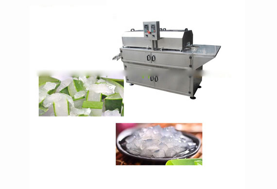 aloe vera washing machine/aloe vera cutting machine for aloe powder making