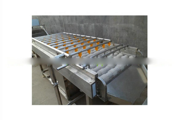 aloe vera washing machine/aloe vera cutting machine for aloe powder making