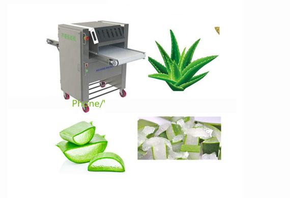 China manufacturer for aloe vera powder processing machine