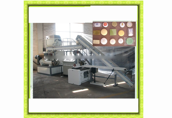 Hotel toilet soap production line