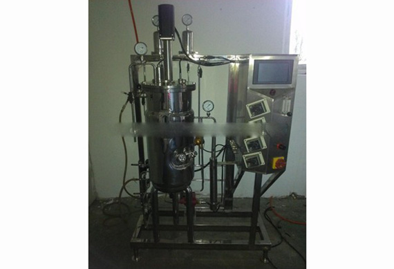 Pilot Scale Microbiology Fermenter for sale