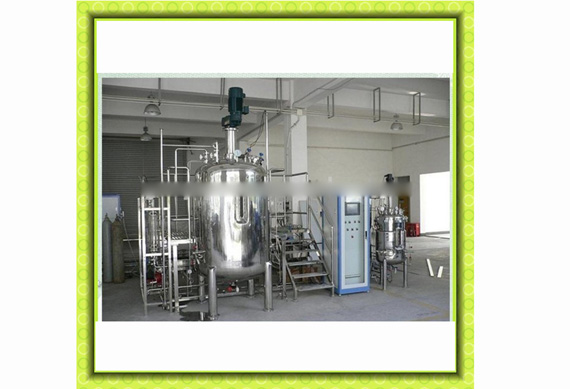 Good quality 5L-500L bio fermenter used for bacteria