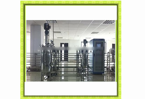 Good quality 5L-500L bio fermenter with factory price