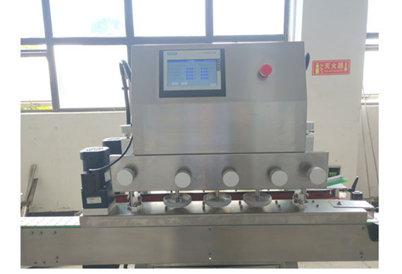 Manufacturing and sales of ketchup filling machine with video