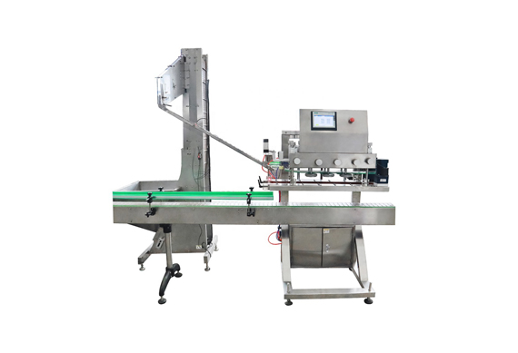 Automatic Sauce Bottling 100 ml-5 l Filling Capping Machine