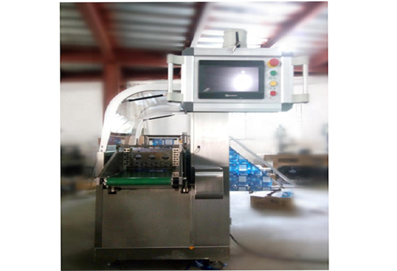 Automatic eye mask Four-side sealing packaging machine with video