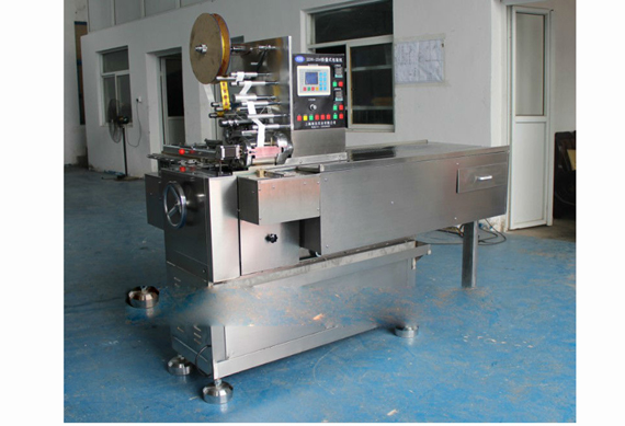 factory price automatic dried lemon canning machine