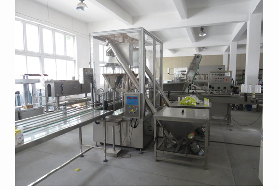 automatic filling machine for chilli powder jar