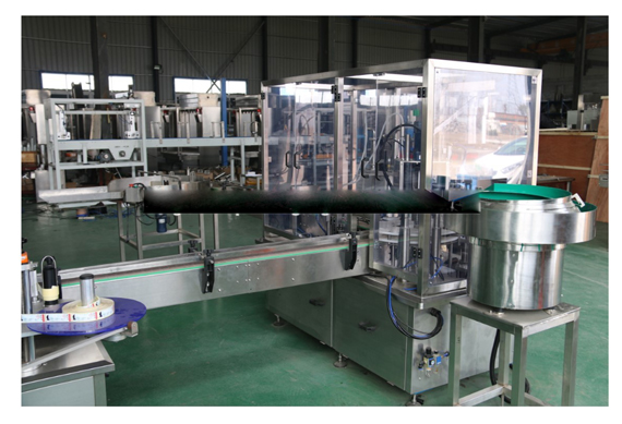 linear Filling machines for olive oil