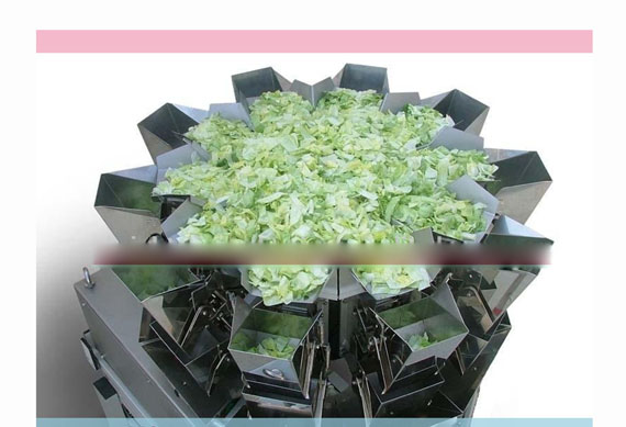 factory price automatic dry fruit filling machine with CE ISO9001