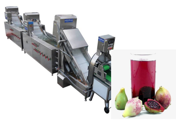 automatic prickly pear jam making line