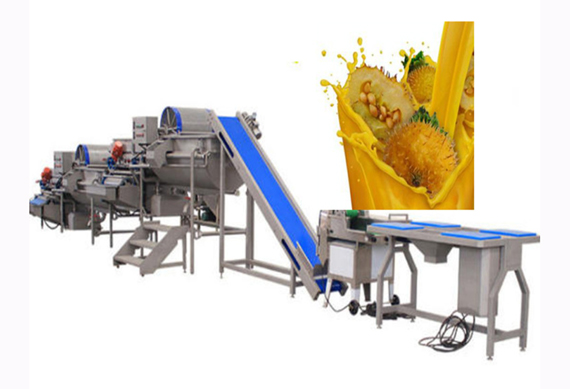 automatic prickly pear jam making line