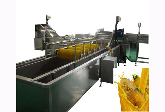 automatic prickly pear jam making line