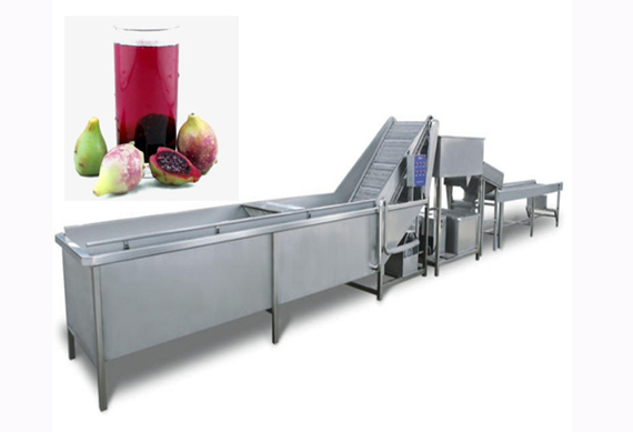 automatic prickly pear jam making line