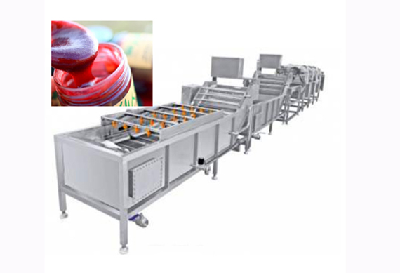 automatic prickly pear jam making line