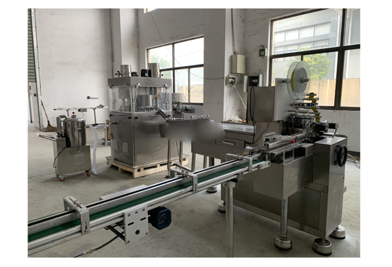 New Product 10G 10 Chicken Bouillon Cube Making Machine