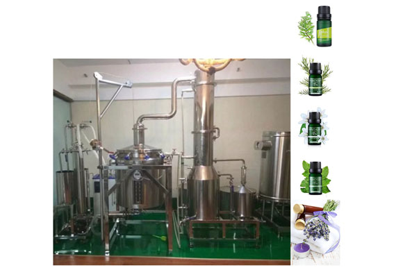 lavender essential oil extraction equipment