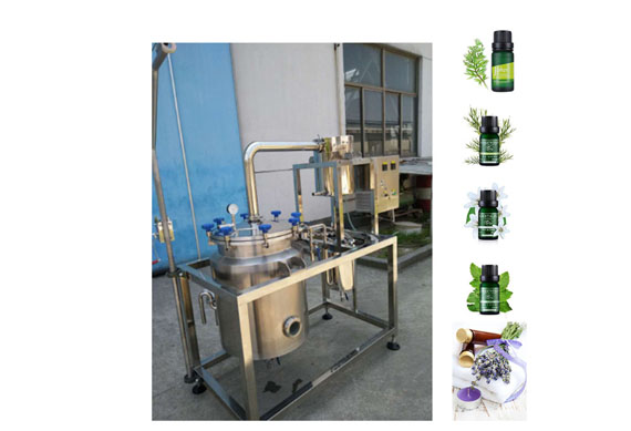 lavender essential oil extraction equipment