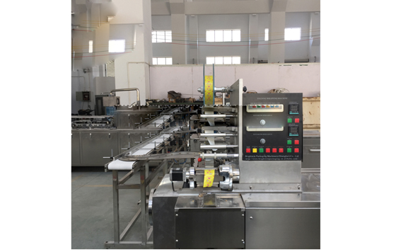 Shanghai factory 10g Chicken stock cube machine with video