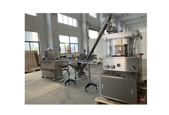 CE standard factory direct sale chicken cube tablets pressing machine