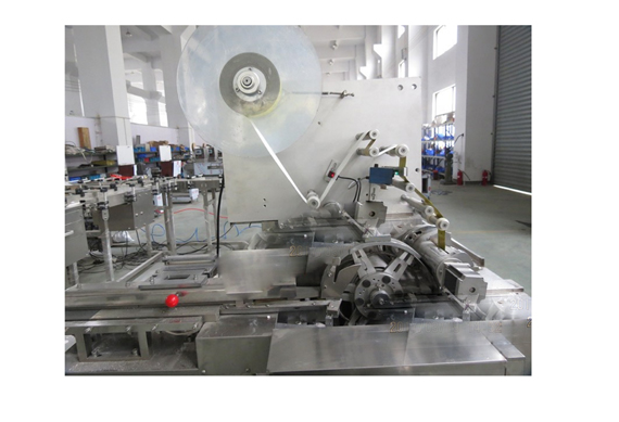 chicken cube folder wrapping machine cube packing machine