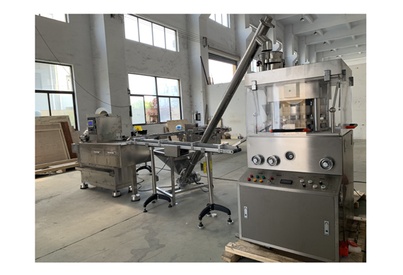 Automatic Pill Making Machine Press Machine/Salt Tablet Press Making Machine/Rotary Sugar Cube Tablet Press Machine