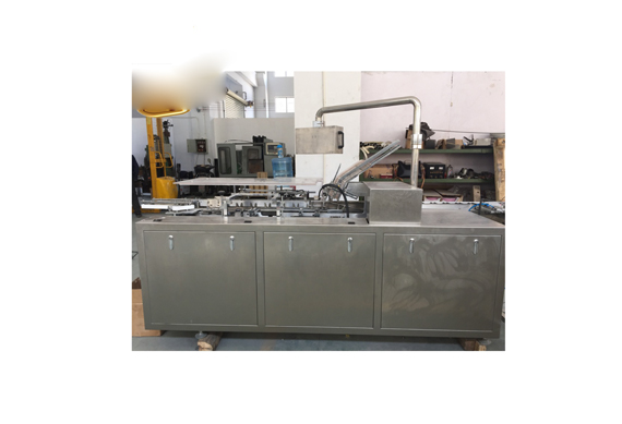 Factory direct sale sugar cube /chicken cube carton packing machine