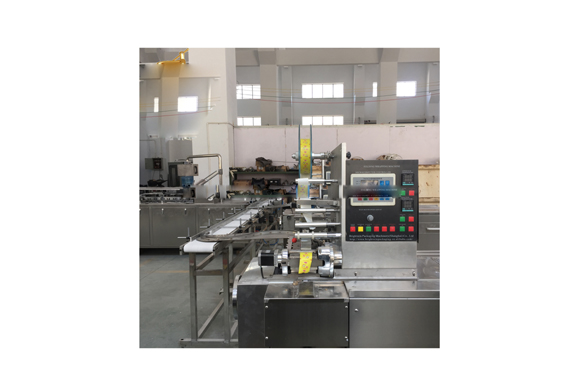 chicken cube folding wrapper machine with CE, ISO9001