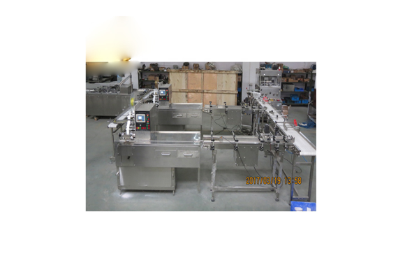 Shanghai factory seasonling cubes pressing wrapping and boxing machine