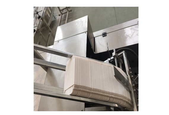 Shanghai sunblocking cream packing machine carton boxing machine with ISO CE GMP