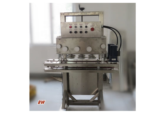 Automatic Bouillon Cubes Pressing Wrapping Machine