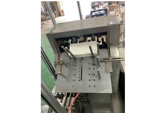 Automatic Cartoning Machine for Food
