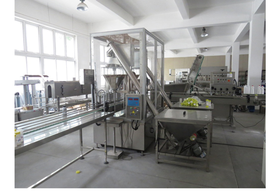 factory price automatic protein powder/organic powder filling machine