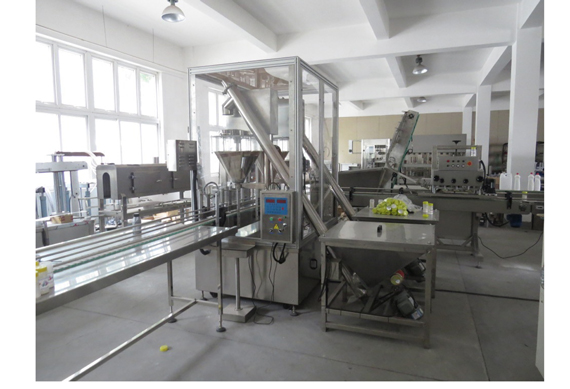 honey powder filling machine