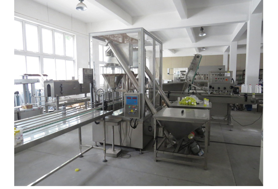 automatic talc powder filling machine