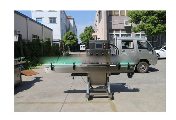 promotion automatic barbecue/BBQ sauce bottle filling machine with CE ISO9001